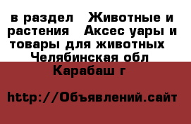  в раздел : Животные и растения » Аксесcуары и товары для животных . Челябинская обл.,Карабаш г.